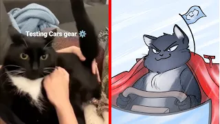 Cat Memes: Skibidi Toilet Cat