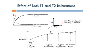 Short Topics in Magnetic Resonance Imaging: Combined T1 and T2 Relaxations (Arabic Narration)