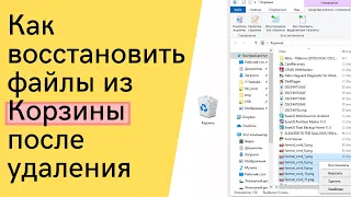 Как быстро и бесплатно восстановить файлы после случайной очистки Корзины под Windows 7, 8, 10)