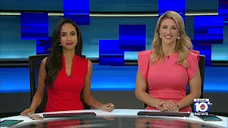 Local 10 News Brief: 3/24/23 Night Edition