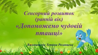 Сенсорний розвиток (ранній вік) «Допоможемо чудовій пташці»