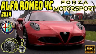 Forza Motorsport - Alfa Romeo 4C 2014 Stock | Brands Hatch | Thrustmaster T300 RS | TH8A