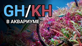 Жесткость воды в аквариуме GH и KH. Как понизить и повысить общую и карбонатную жесткость.