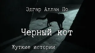 Черный кот. Эдгар Аллан По. Аудиокнига. Чтец. Аудиорассказ.