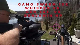 GAMO SWARM 10X WHISPER VS  GEN 2 & 3I vs BENJAMIN NP