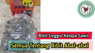 Semua Tentang Bibit Abal-abal