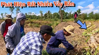 Phát hiện rất nhiều vảy Rắn | TGSB #876