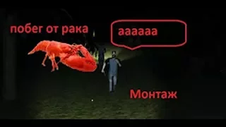 МонтаЖ   Побег от рака  Rake ._.