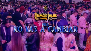 MIX NO VAS A CAMBIAR - INMORTALES X SIEMPRE