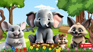 Soothing Music With Beautiful Nature: Elephant, Chinchilla, Bat-eared Fox, Chipmunk - Animals Sound
