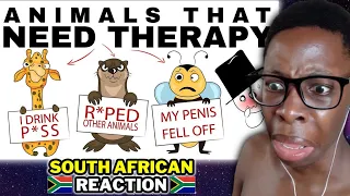 Animals With The Worst Mating Rituals, in Ten Minutes (part 2) | South African Reaction 🇿🇦