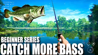 Fishing Planet - Bass Beginners Guide 2022 Money and Xp!!! - Lonestar Lake