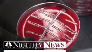 Drug-Resistant Superbugs Are ‘Fundamental Threat’ To Humans, WHO Says | NBC Nightly News