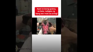 Apat na taong gulang na bata, nailigtas ng isang aso mula sa sunog! | Kapuso Mo, Jessica Soho