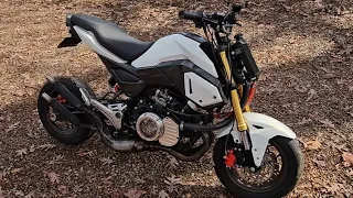 How FAST is a 2 Stroke TWIN Swapped Honda GROM? (Its MENTAL! + Ausom Leopard!)