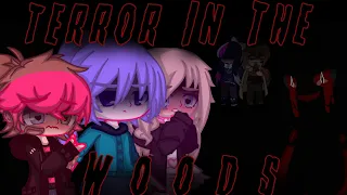 || Terror in the woods || Gacha stereotype zoo horror group story part 1 || read pinned comment ||