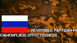 Partizan M camouflage effectiveness part 1 (OakLeaf side)