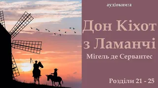 Дон Кіхот 5 / Книга 1  (Розділи 21-25) - аудіокнига українською