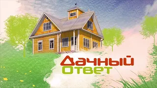 "Дачный ответ" от 20.05.2018, "Спальня с похитителями клубники"