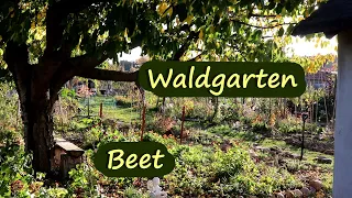 Waldgarten 🌿 Beet erklärt