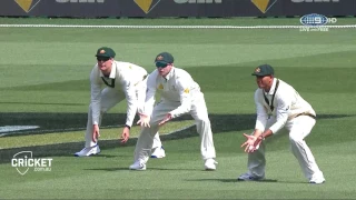 Quick Wrap: Lyon roars as Aussies find their bite