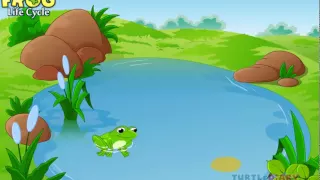 Learn the Frog Life Cycle *AMAZING* Science For Kids