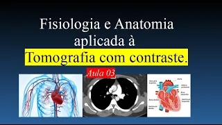 Curso de Tomografia com contraste - Aula 3 (Fisiologia e anatomia)