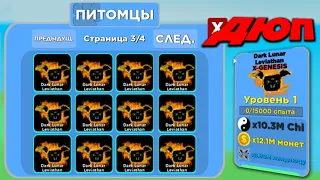 САМЫЙ ПРОСТОЙ ДЮП ПЕТОВ В NINJA LEGENDS РАБОТАЕТ! КАК ДЮПАТЬ ПИТОМЦЕВ