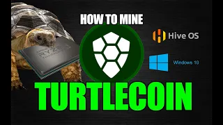 How To Mine TurtleCoin | Windows 10, Hive OS | CPU MINING