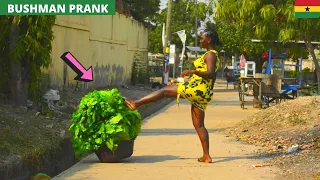 😂😂😂She Is Brave & Beautiful! | Bushman | Silver Statue | Compilation Episode 10