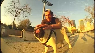 "Dog Pound" teaser A full israeli skatevideo