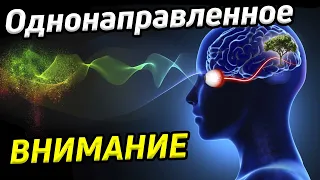 Как ум поглощает объекты / Однонаправленное внимание