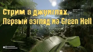 Стрим в джунглях. Первый взгляд на Green Hell