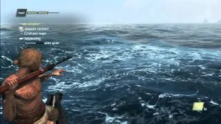 Assassin's Creed IV: Black Flag - White Whale Hunting