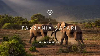 Safari trip in Africa / Exploring the parks of Tanzania