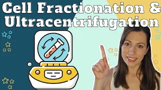 How to study cells - Cell fractionation and ultracentrifugation for AQA A-level Biology