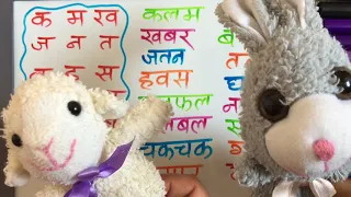 Nepali Alphabets Words Sentences