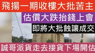 飛揚第1期收樓業主變苦主 長實誠哥劈價對賭下場開估 2年未夠輸4成!屯門區呎價大跌! 因飛揚2期劈價2成攬炒1期估價大跌大批業主需抬錢百幾萬上會 納米樓 樓市走勢 收樓 新樓盤