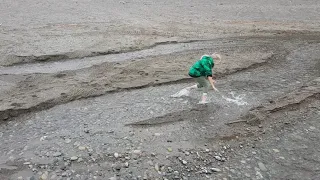 Горбуша Сахалинская, ловим руками