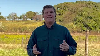 Plantas aquáticas: Dicas simples controla o crescimento delas no açude da fazenda.