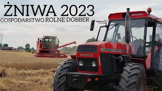 ✰ŻNIWA 2023 NA GÓRACH !✰ GR DOBBER ✰PIĘKNY BIZON Z056 ✰ 3x URSUS 1614 ?!✰㋡