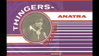 Anatra - THINGERS AMBOSITRA - Discomad 466 747