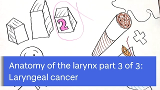 Anatomy of the Larynx: Laryngeal Cancer by Zoe Kirkham-Mowbray Part 3 of 3