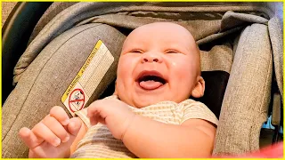 Funny Babies Laughing Hysterically Compilation Of May - Cute Baby Videos