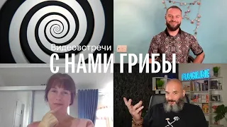 С нами грибы. Грибы и гипноз. Михаил Вишневский, Александр Кирпичёв, Елена Александрова