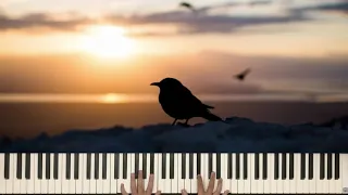 Sunset Bird - Yiruma