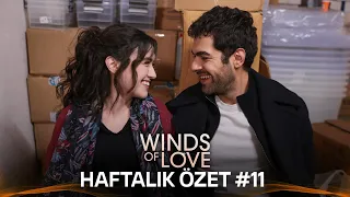 Winds of Love Weekly Summary #11 | Rüzgarlı Tepe Haftalık Kolaj #11