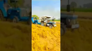 zetor 50 super + ford 3610 !mera punjab !#live #shorts #like #share #sidhumoosewala