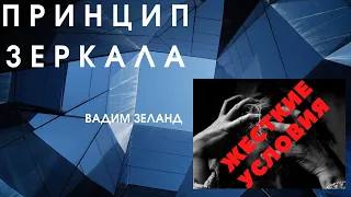 УПРАВЛЯЙ ПРИРОДОЙ | Принцип коррекции зеркала  Вадим Зеланд |