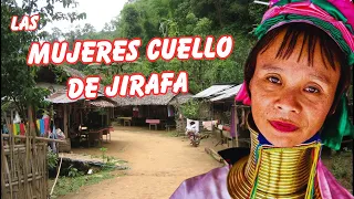 MUJERES CUELLO DE JIRAFA - La Verdad detrás de los ANILLOS